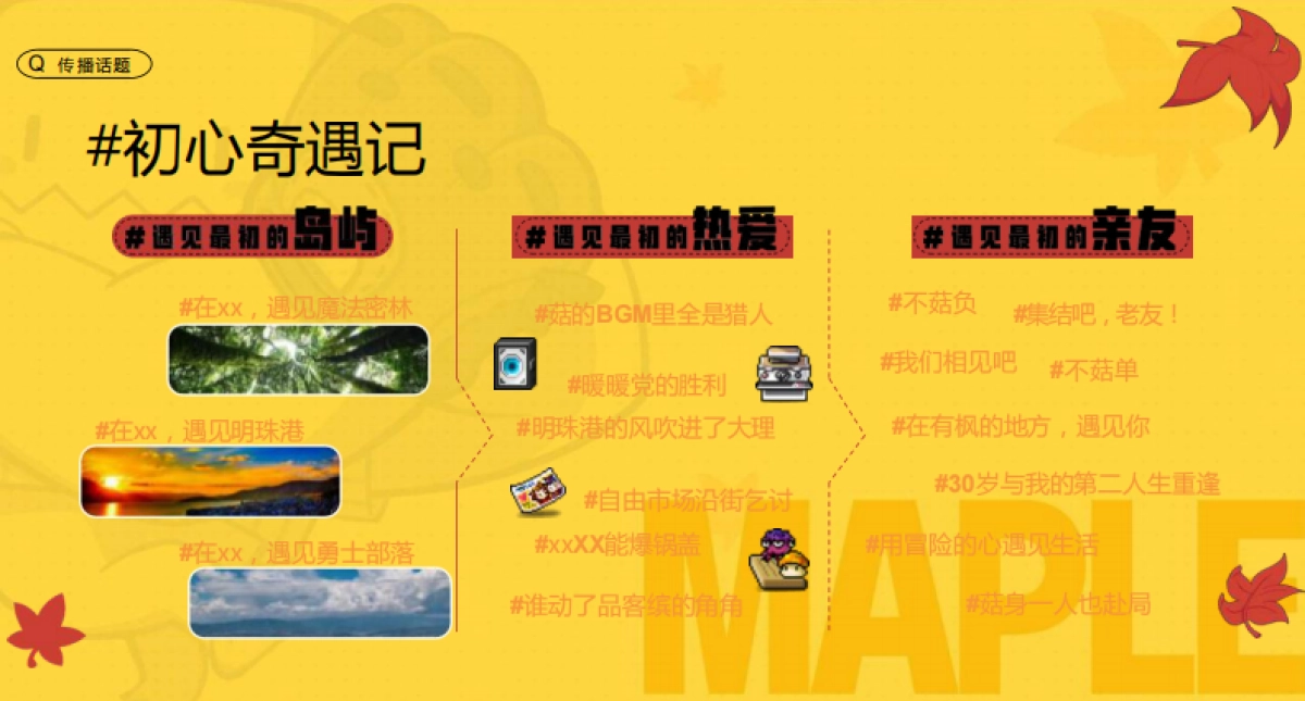 冒险岛网游快闪活动创意方案_第10页