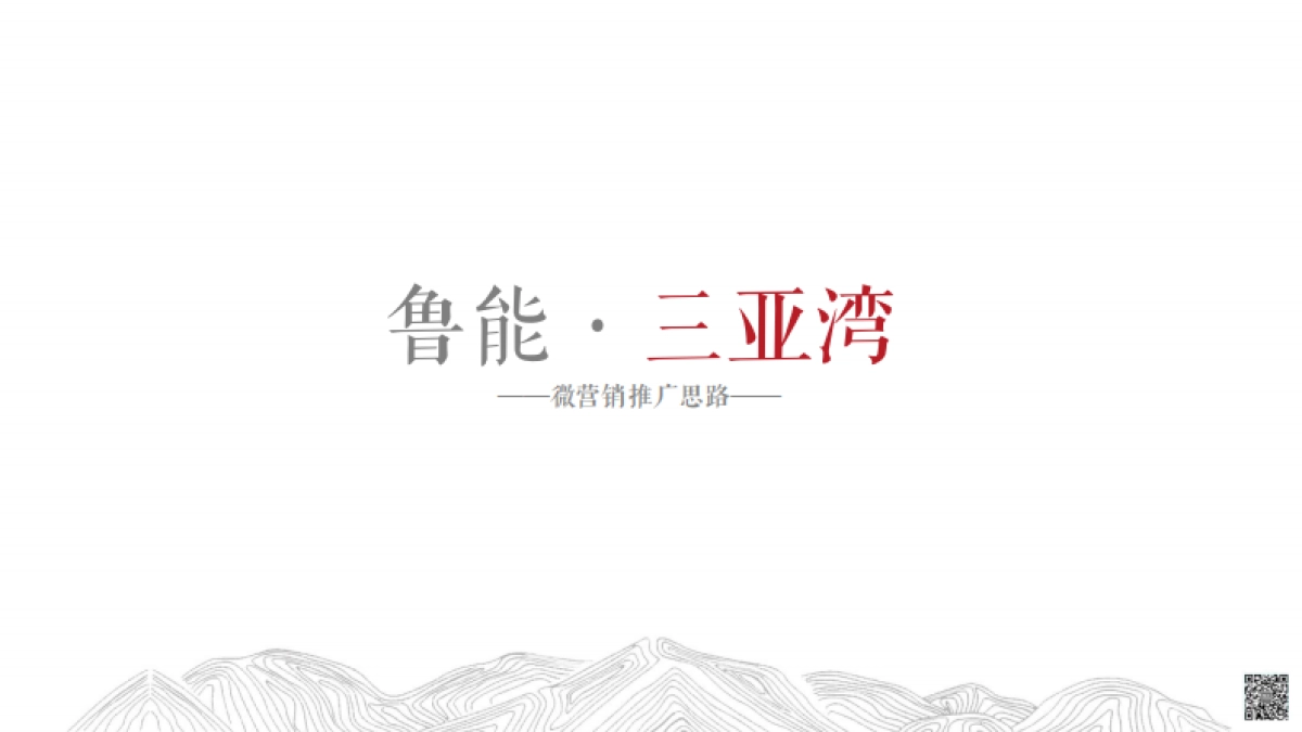 墨立互动-鲁能三亚湾项目网络推广提案_第2页