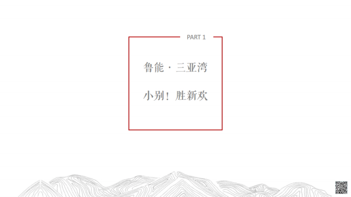 墨立互动-鲁能三亚湾项目网络推广提案_第8页