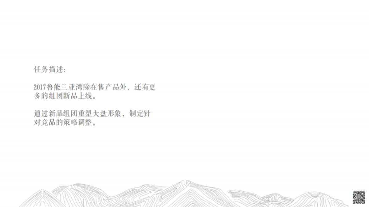 墨立互动-鲁能三亚湾项目网络推广提案_第9页