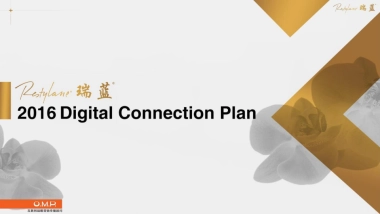 瑞蓝数字营销创意部分