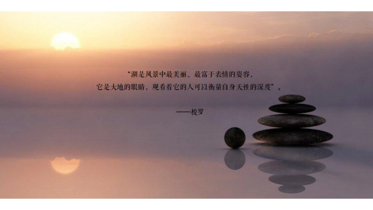 寅虎广告-金科浅棠水岸企划策略提案-165P_第2页