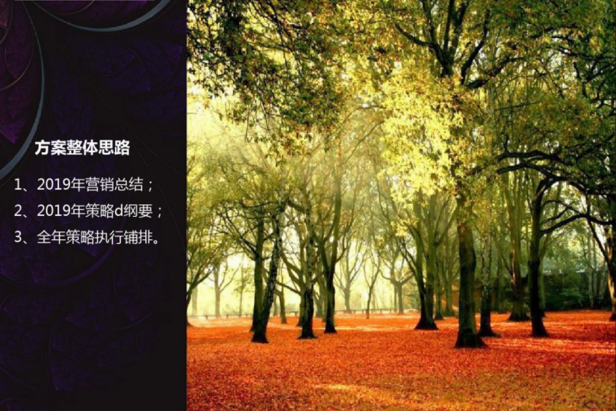 渔人码头2019年营销策略提案_第2页