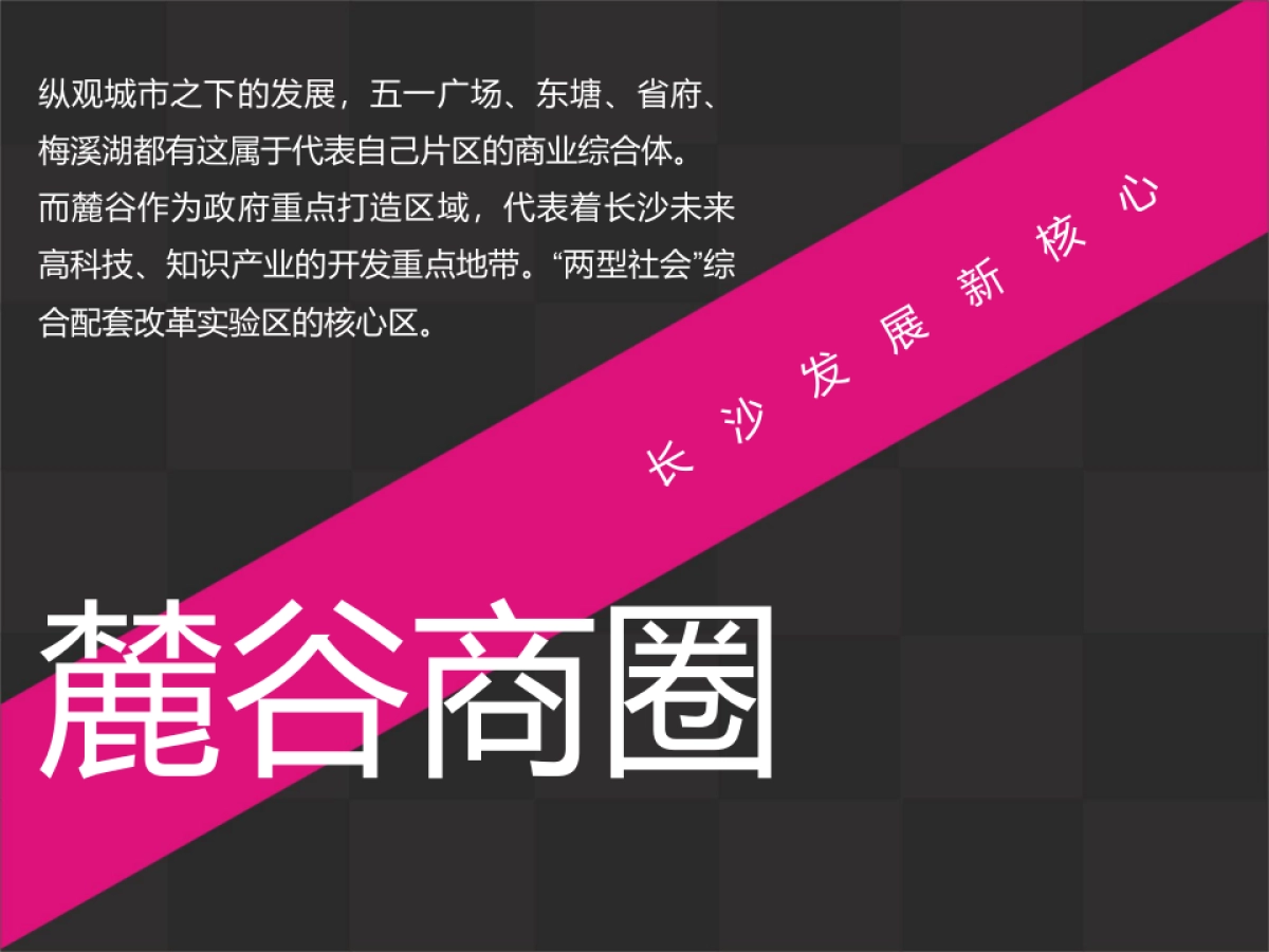 深圳第一生产力广告-麓谷国际广场提案_第5页