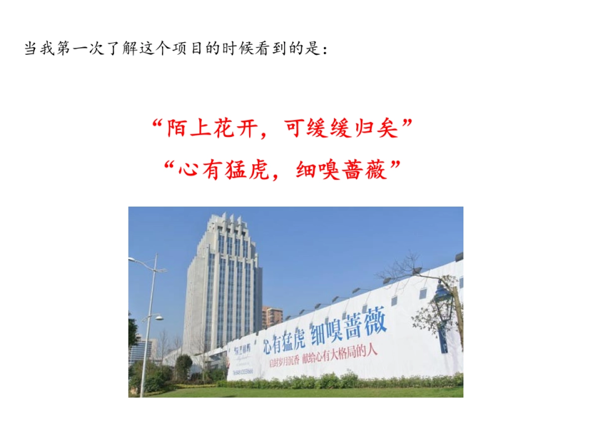 深圳第一生产力-珠江郦城公园号推广提案_第3页