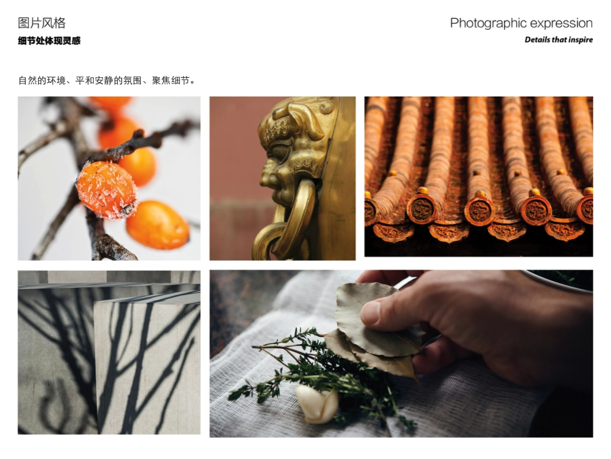 同仁堂健康母品牌子品牌VI系统提案_第8页