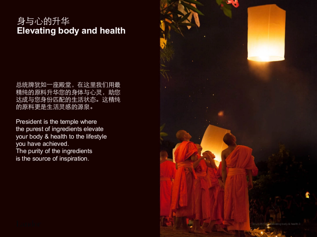 同仁堂健康子品牌项目设计提案_第3页