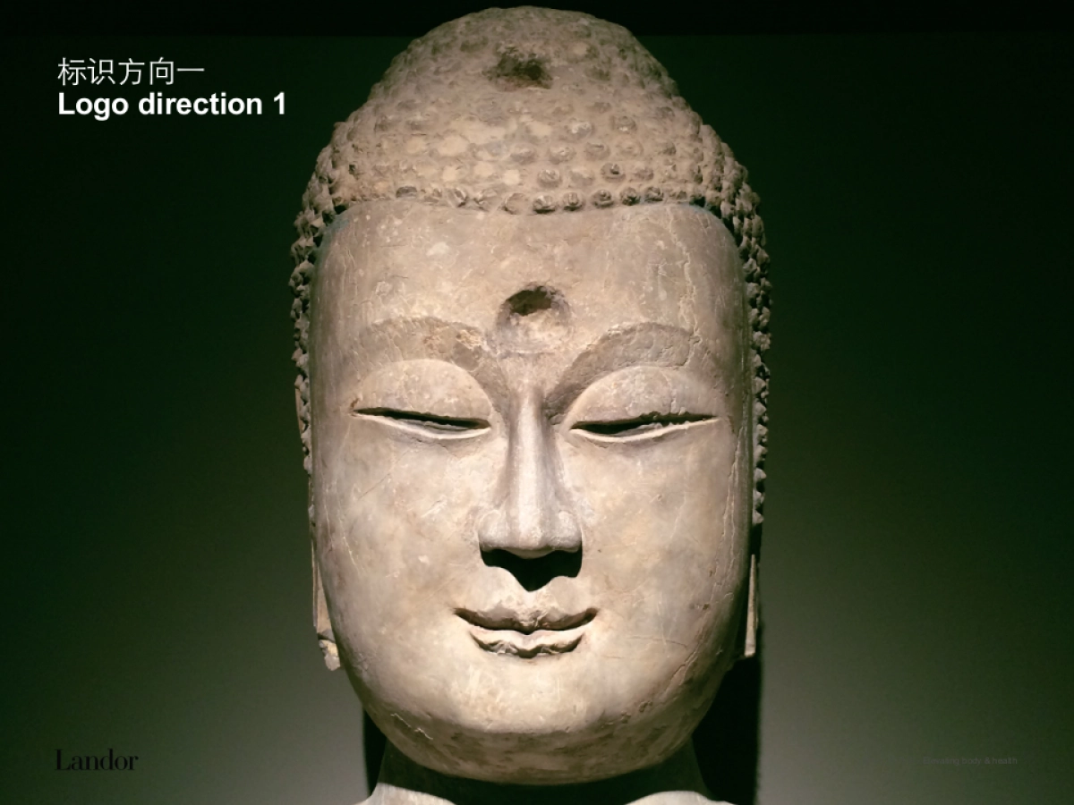 同仁堂健康子品牌项目设计提案_第6页