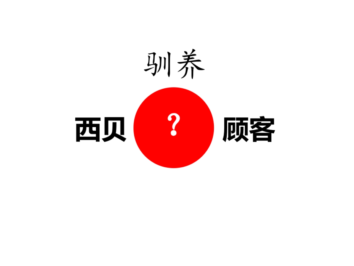 西贝莜面村最终提案_第6页