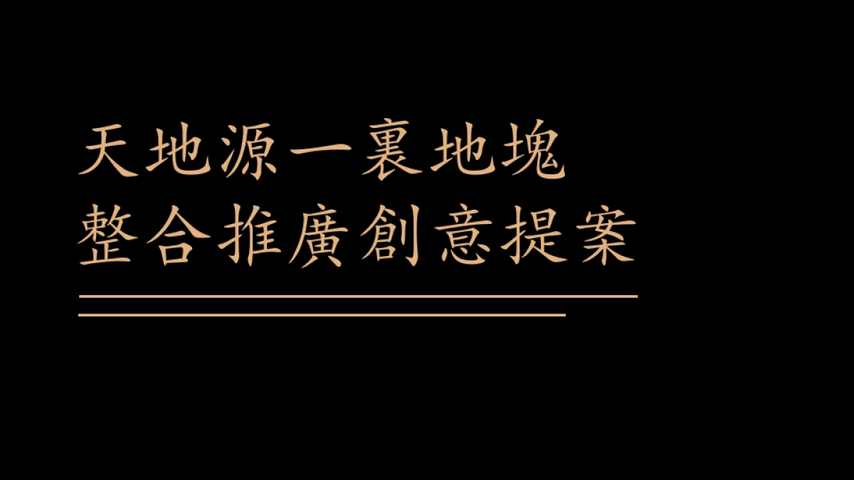 行思堂-天地源一里洋房项目创意提报_第5页