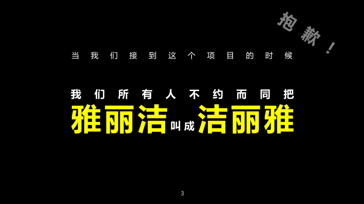 雅丽洁EPR传播项目创意规划方案_第3页