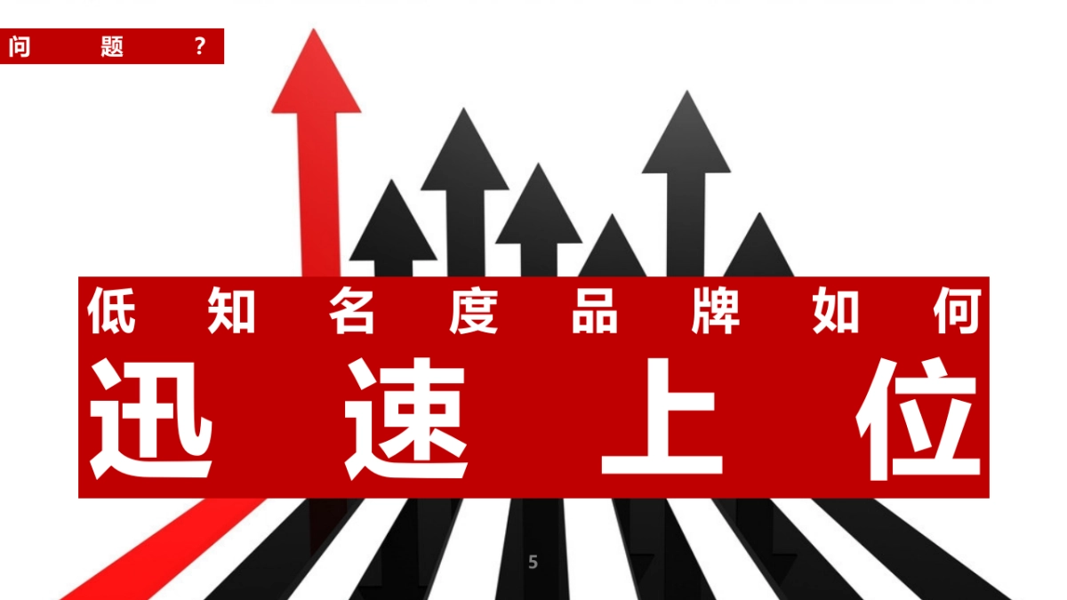 雅丽洁EPR传播项目创意规划方案_第5页