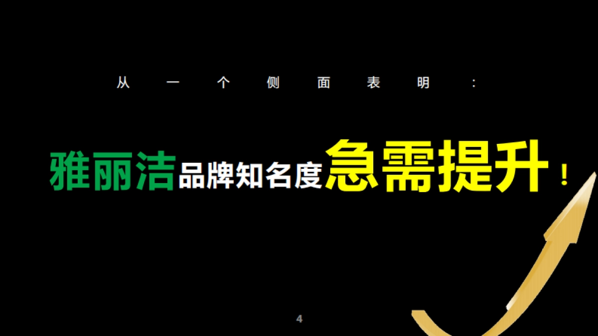 雅丽洁EPR传播项目创意规划方案-蓝色光标_第4页