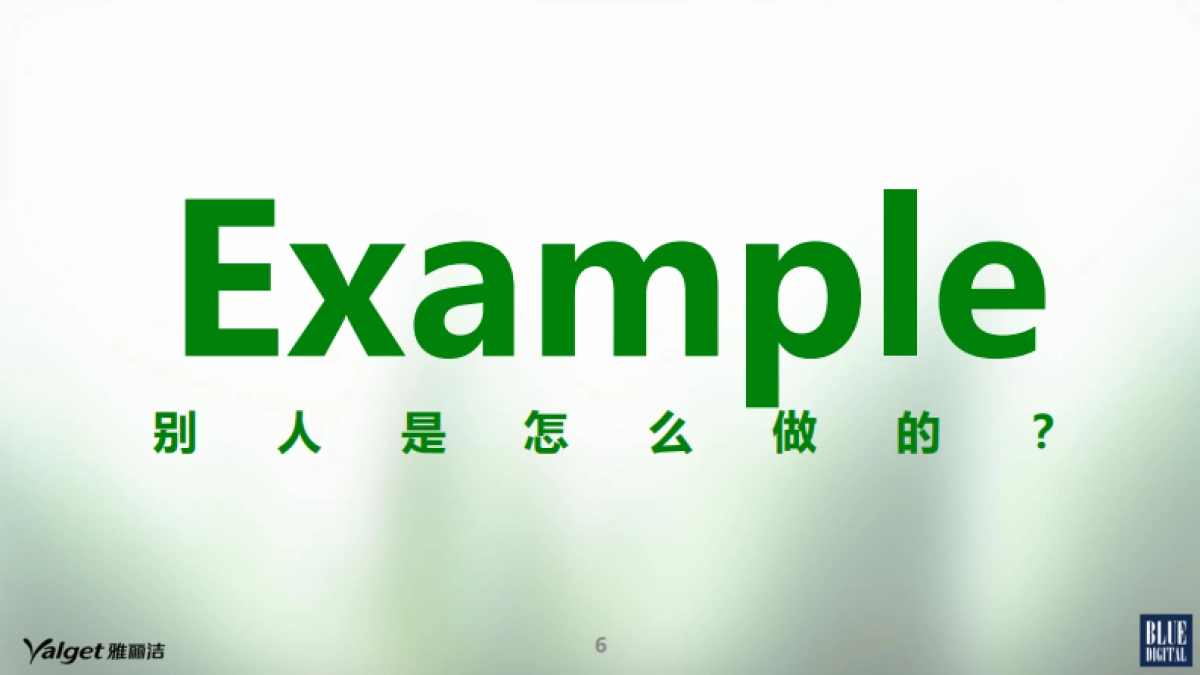 雅丽洁EPR传播项目创意规划方案-蓝色光标_第6页