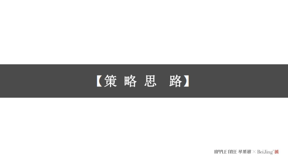 正荣品牌福州区域2020年度推广提案-苹果树_第2页