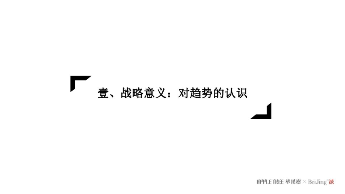 正荣品牌福州区域2020年度推广提案-苹果树_第4页
