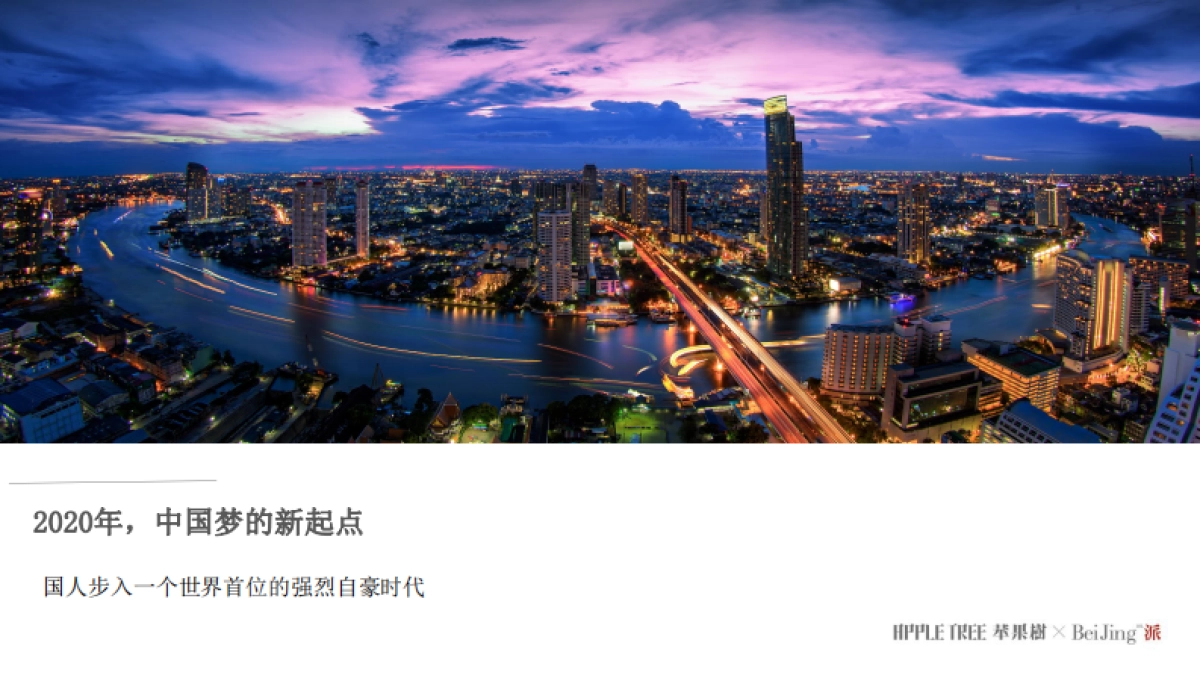 正荣品牌福州区域2020年度推广提案-苹果树_第6页