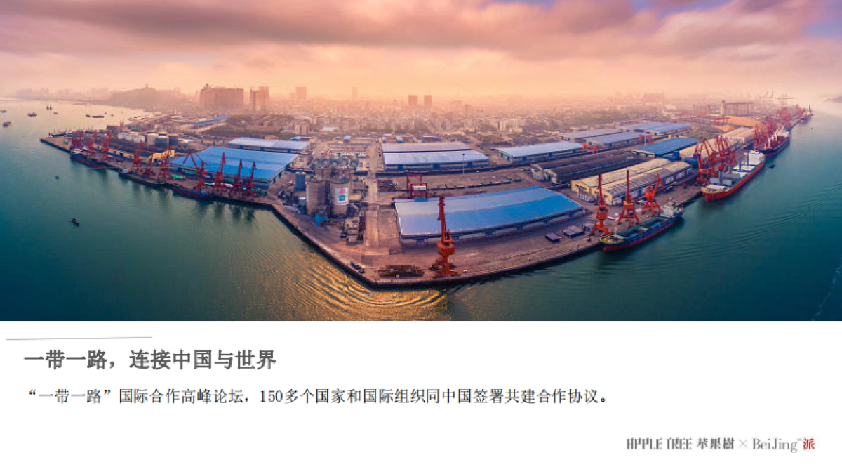 正荣品牌福州区域2020年度推广提案-苹果树_第7页