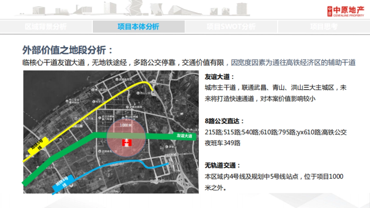 中睿地产青山项目营销提案_第6页