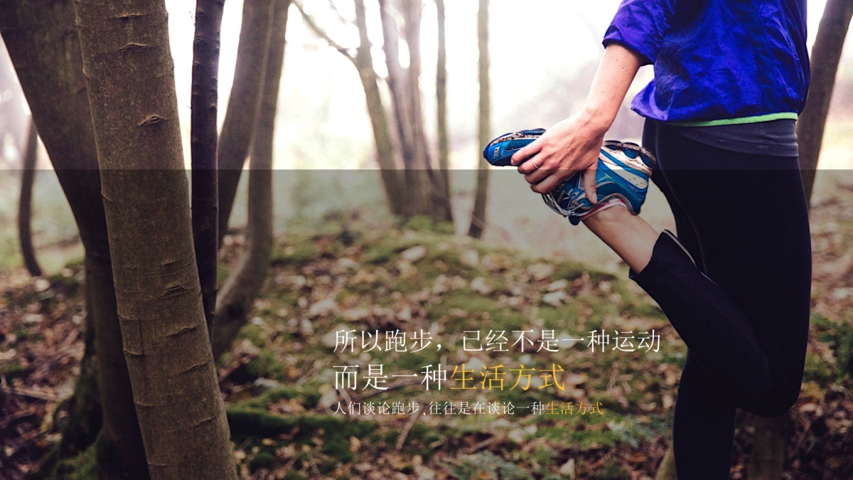 【跑向世界的角落】-蚂蜂窝2016年大事件_第3页