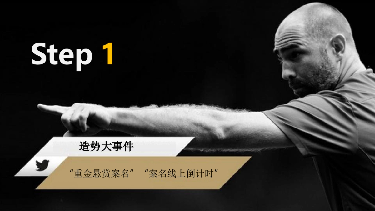 2018中南案名悬念大事件暨售楼处样板房公开活动策划方案_第2页