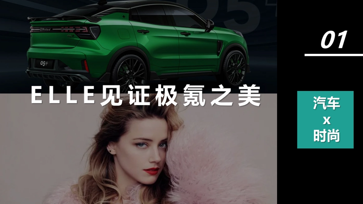 极氪汽车2024年度事件营销方案_第5页