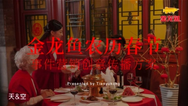 天与空-金龙鱼农历春节事件营销传播方案