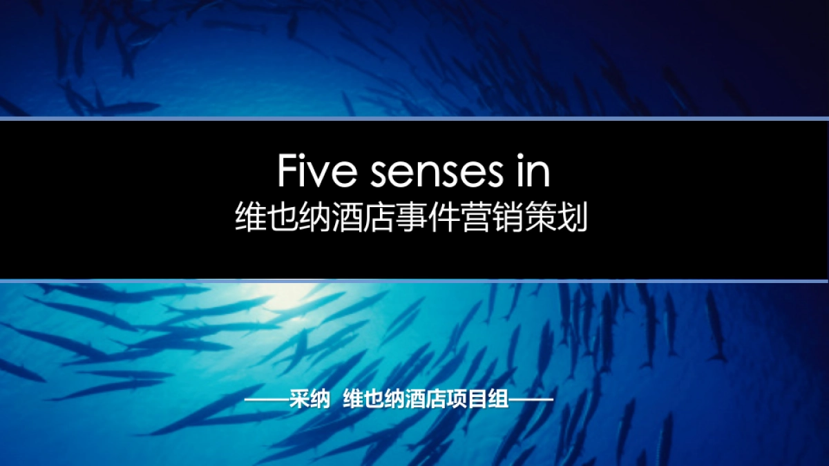 维也纳国际酒店事件营销策划方案_第1页