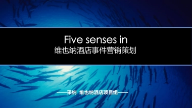 维也纳国际酒店事件营销策划方案