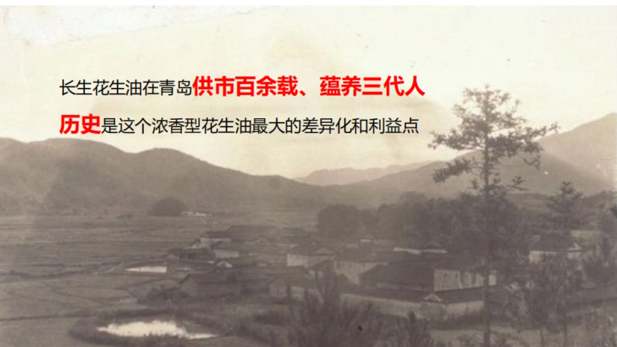 长生集团花生油百年品牌策划提升及整体公关传播营销思路_第5页