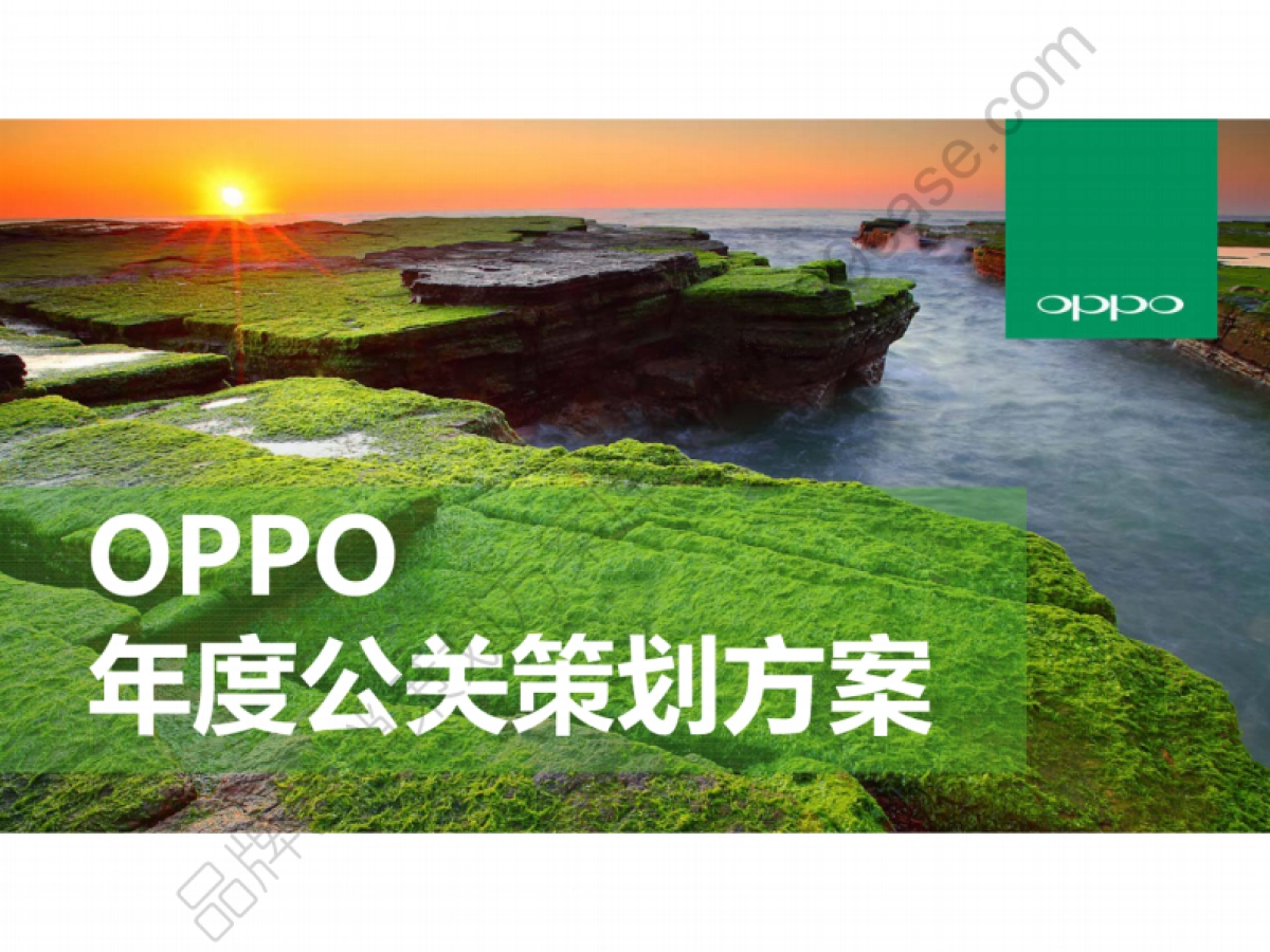 OPPO年度公关传播方案-博雅公关-49P_第1页
