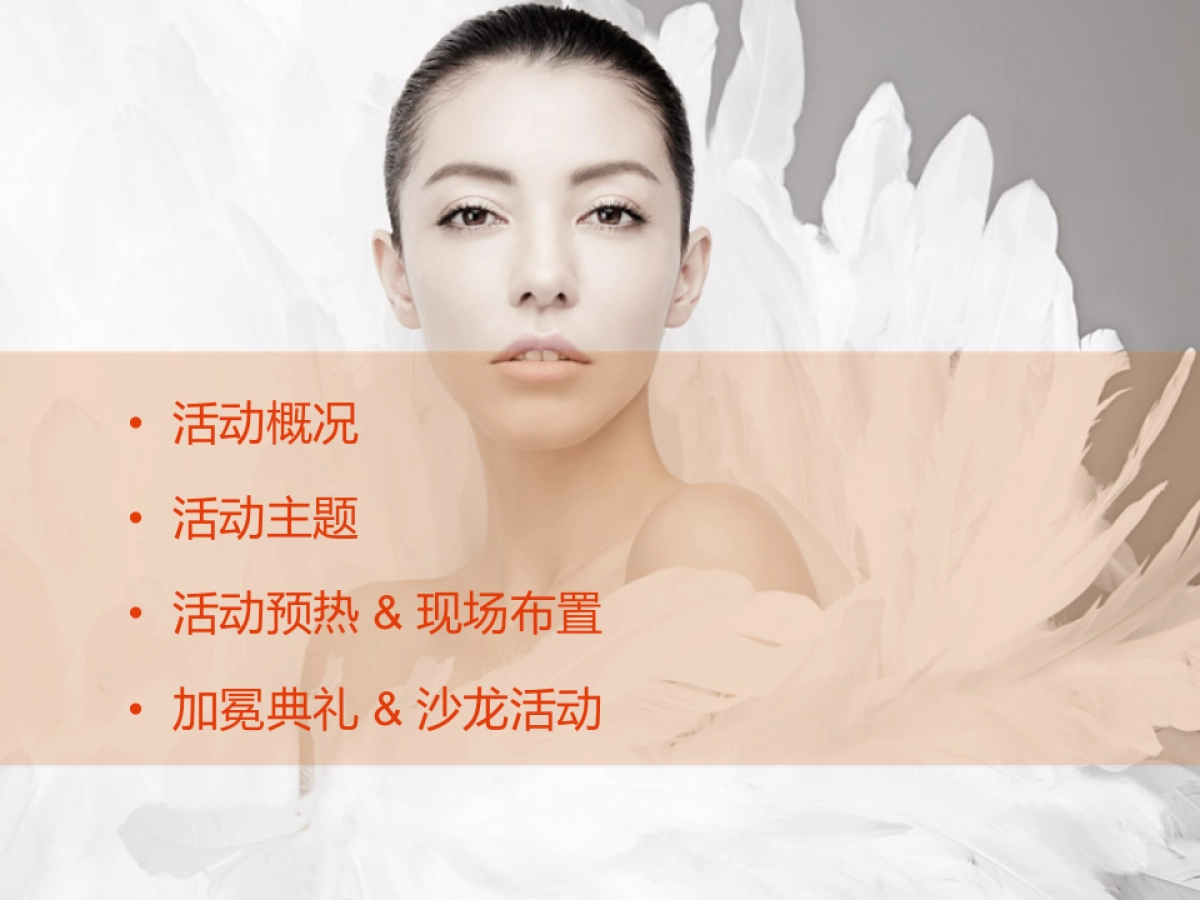 薇琳母亲节公关活动方案_第2页