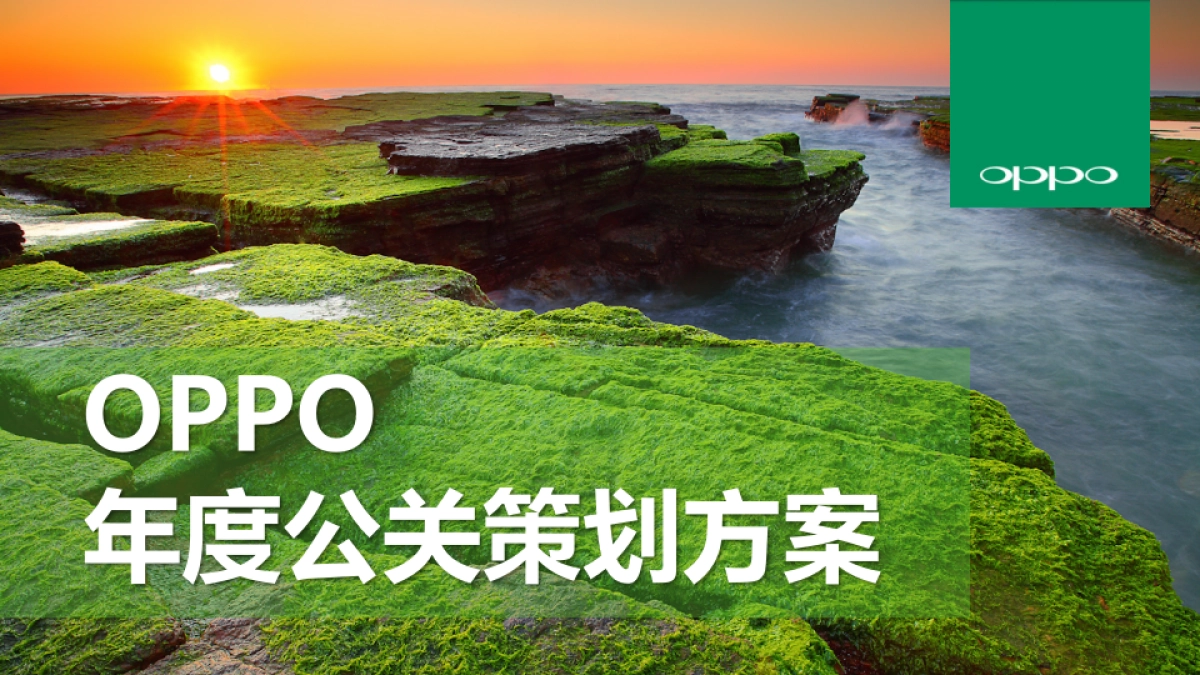 【博雅公关】OPPO手机年度公关传播方案_第1页