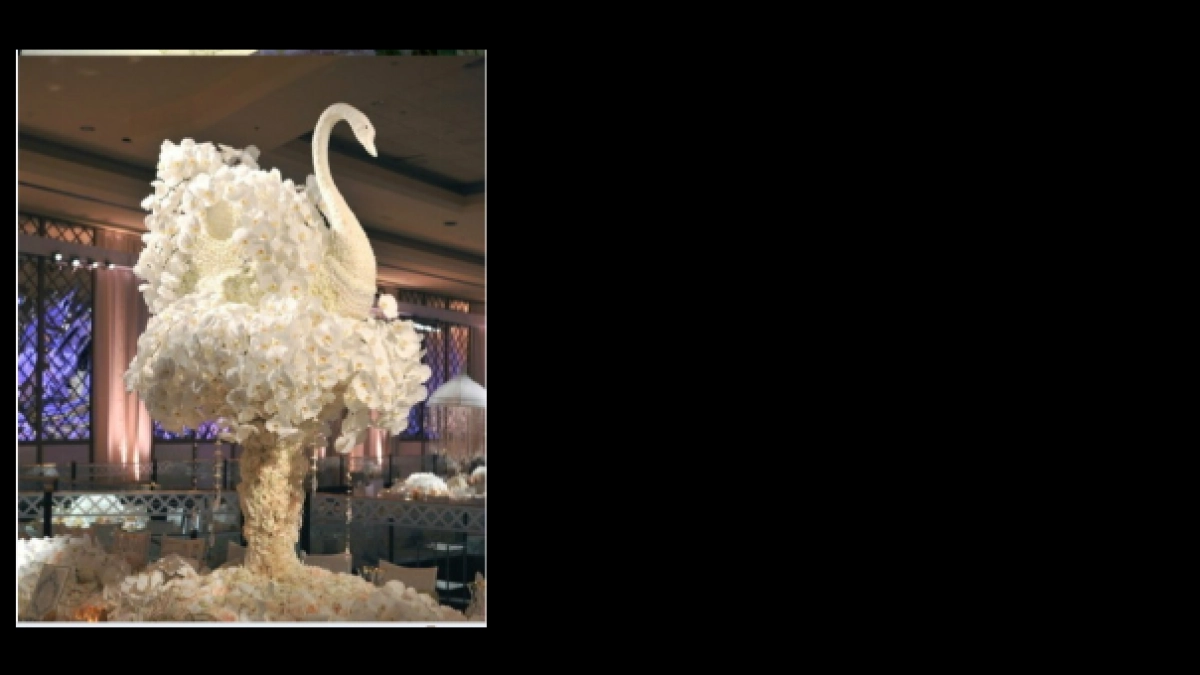 2017天鹅童话年终私享会公关活动策划案_第10页