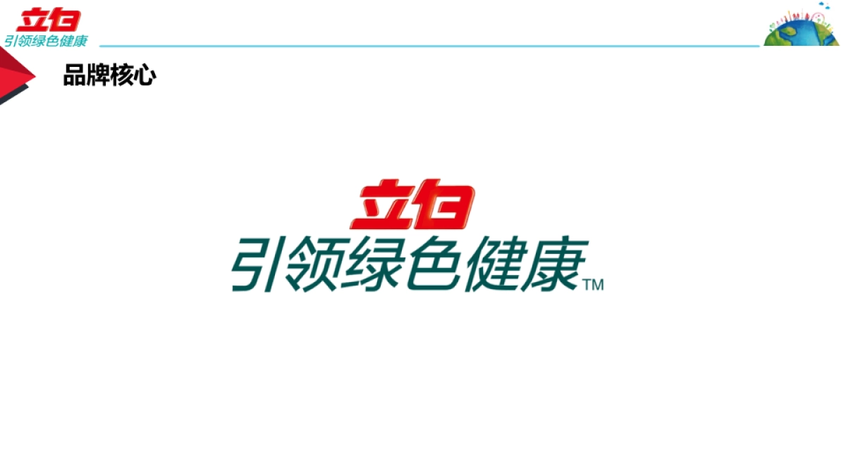 立白2017年品牌 公关传播Core_ Briefing_第3页