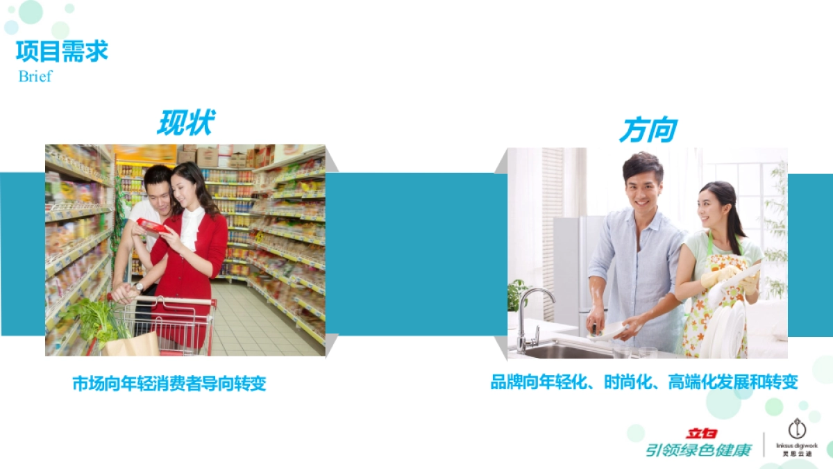 立白品牌2017年代言人公关传播项目_第5页