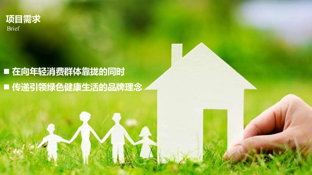 立白品牌2017年代言人公关传播项目_第6页