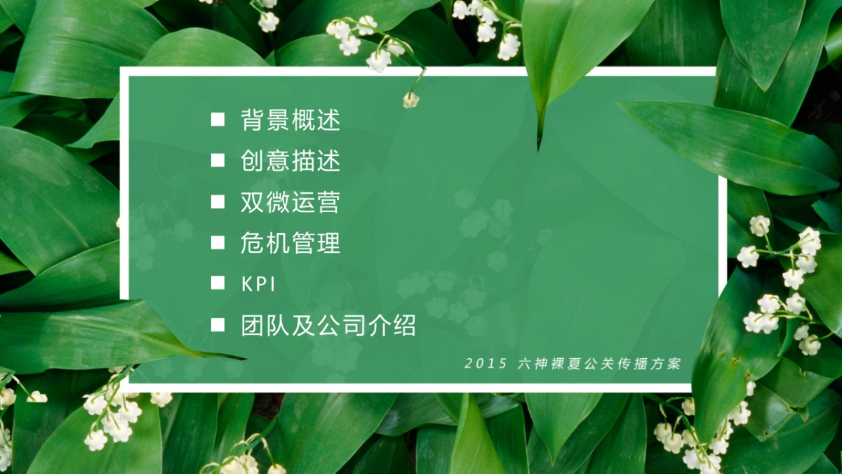 六神裸夏公关传播方案 _第2页