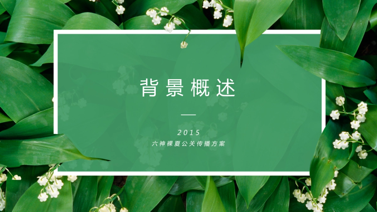 六神裸夏公关传播方案 _第3页