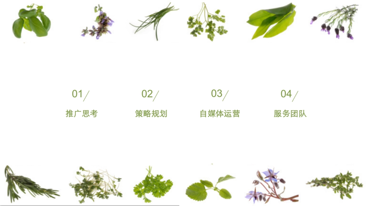 相宜本草年度网络公关传播方案 _第3页