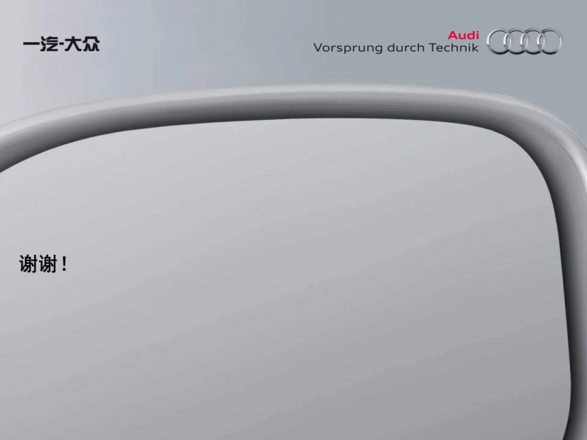 一汽-大众奥迪销售事业部危机处理流程_第6页