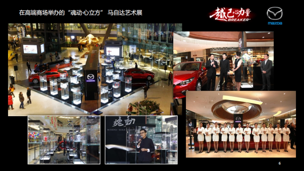 ALWAYS 公司介绍_第6页