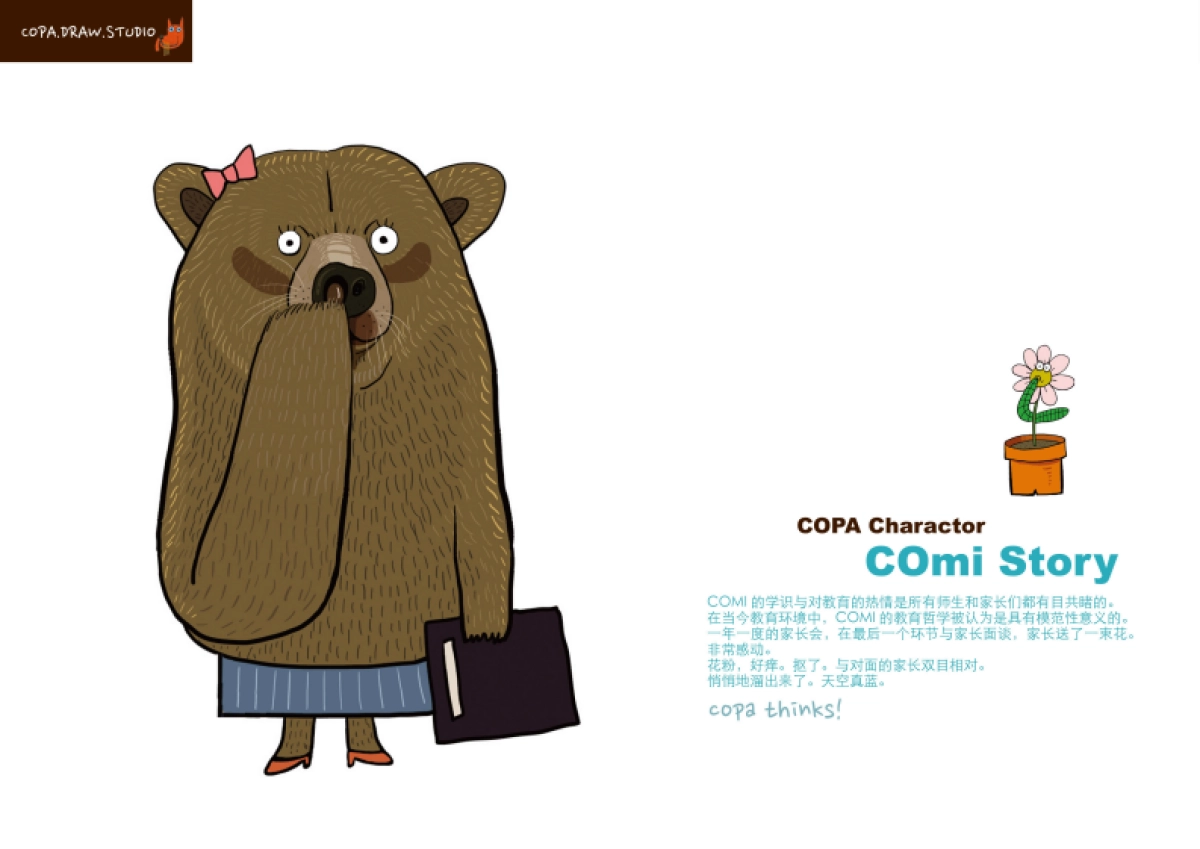 COPA DRAW 简介 20160715_第10页