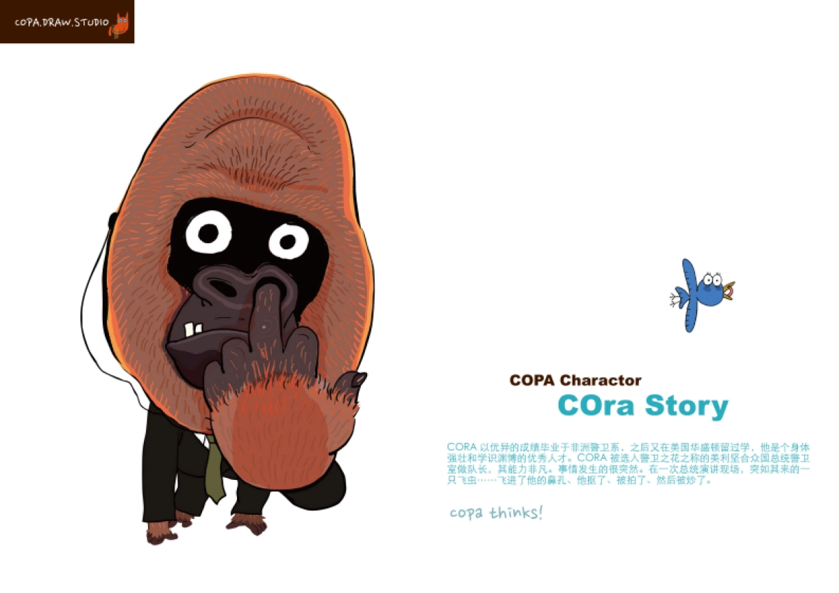 COPA DRAW 简介 20160715_第7页