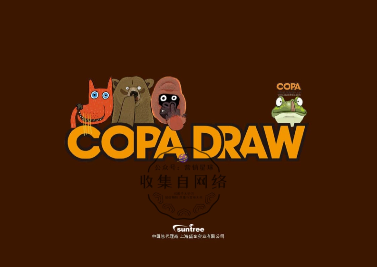 COPADRAW2016简介_第1页