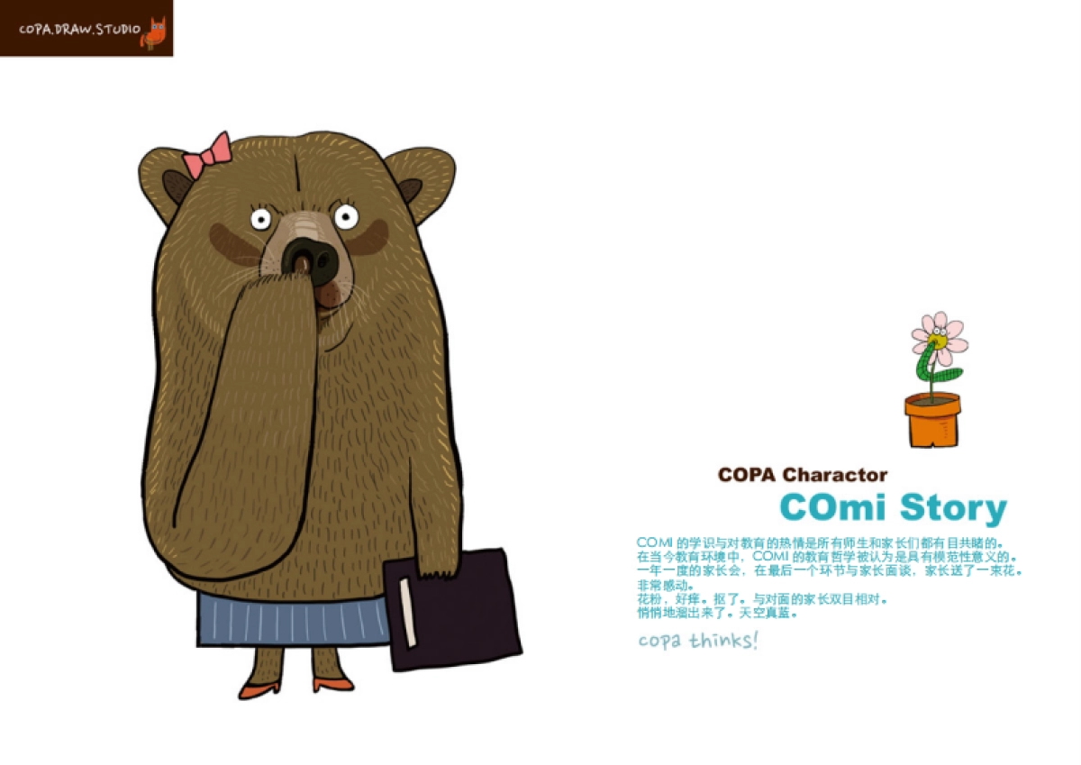 COPADRAW2016简介_第10页