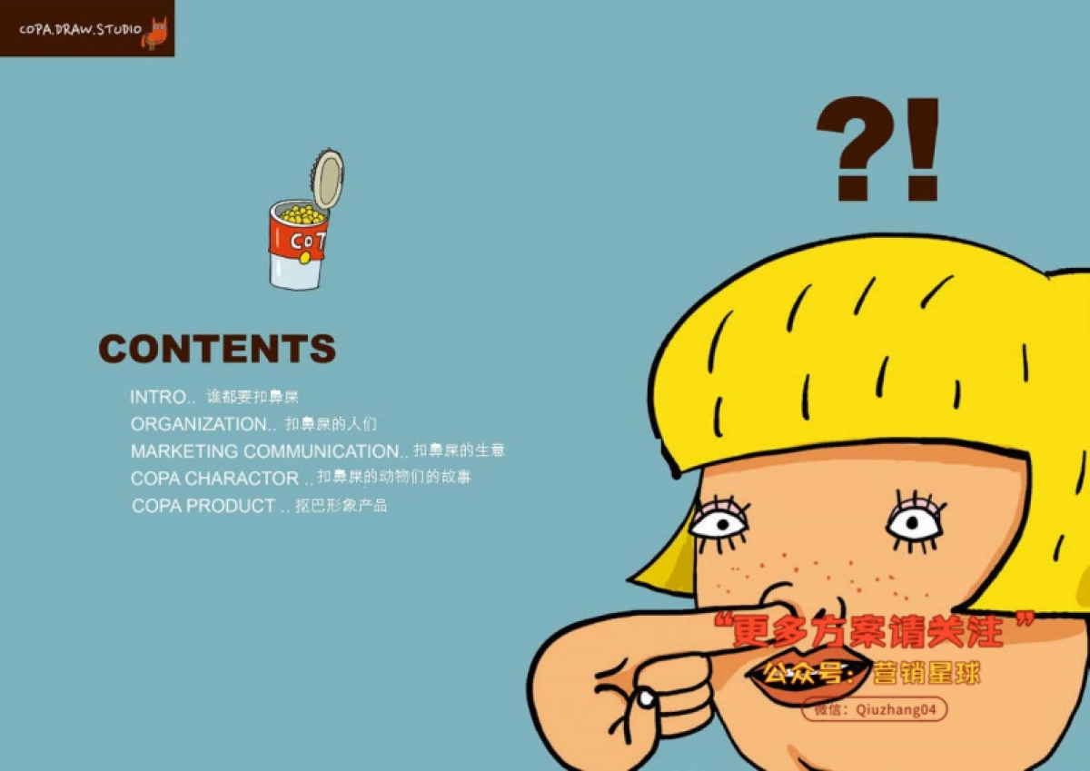 COPADRAW2016简介_第2页