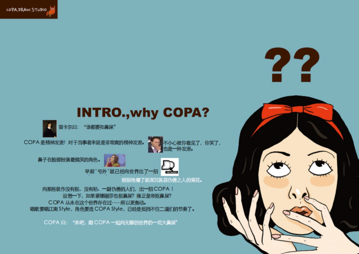 COPADRAW2016简介_第3页