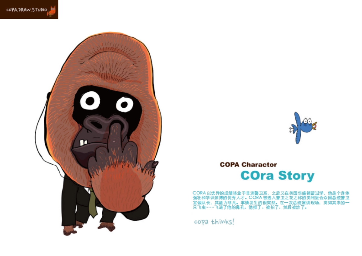 COPADRAW2016简介_第7页