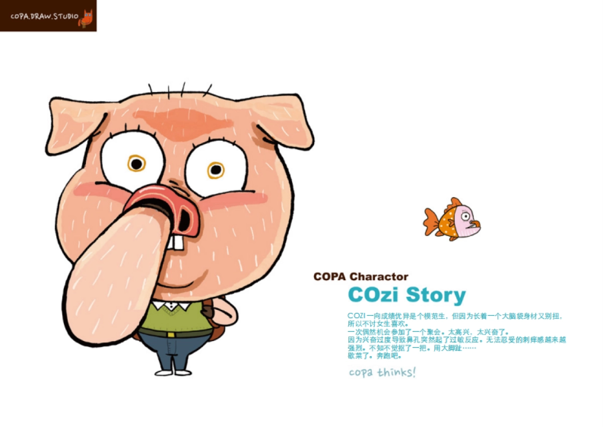 COPADRAW2016简介_第8页